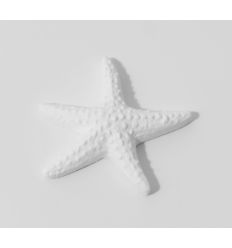 CONFEZIONE 24 STELLE MARINE IN GESSO (17353-24)