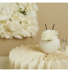 Profumatore piccolo cuore (cl26016)