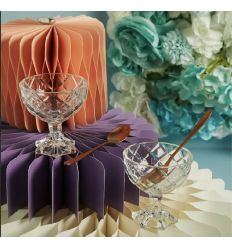 Set due ciotole per gelato con cucchiaino (cl26067)