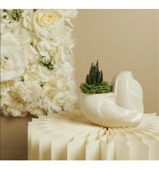 Portapianta cuore intrecciato bianco (cl26136)