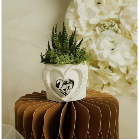 Vasetto cuore con applicazione argento con piantina (cl26285)